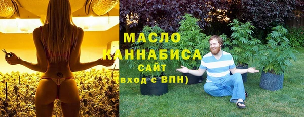 молекула духа Медвежьегорск