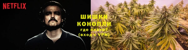 молекула духа Медвежьегорск