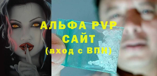 молекула духа Медвежьегорск