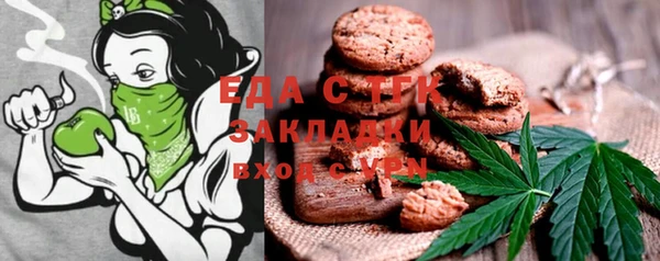 твердый Медногорск