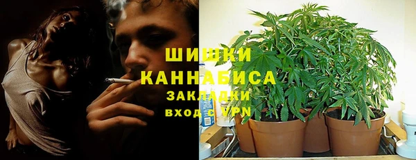твердый Медногорск